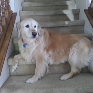 Meet your Posher, Stephanie